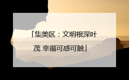 集美区：文明根深叶茂 幸福可感可触