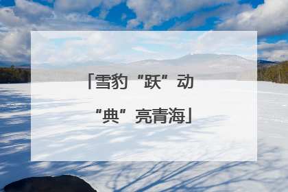 雪豹“跃”动 “典”亮青海