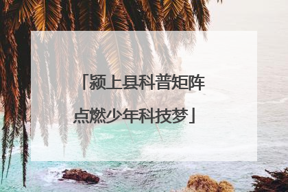 颍上县科普矩阵点燃少年科技梦