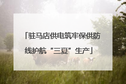 驻马店供电筑牢保供防线护航“三夏”生产
