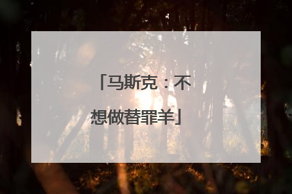 马斯克：不想做替罪羊