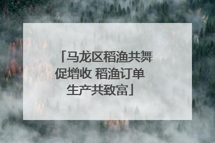 马龙区稻渔共舞促增收 稻渔订单生产共致富
