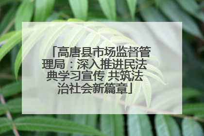 高唐县市场监督管理局：深入推进民法典学习宣传 共筑法治社会新篇章