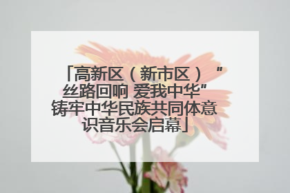 高新区（新市区）“丝路回响 爱我中华”铸牢中华民族共同体意识音乐会启幕