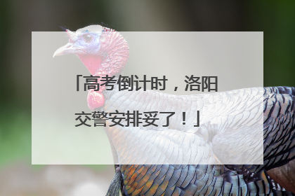 高考倒计时，洛阳交警安排妥了！