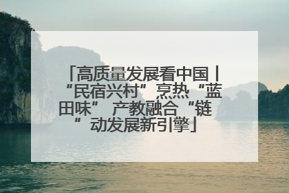 高质量发展看中国丨“民宿兴村”烹热“蓝田味” 产教融合“链”动发展新引擎