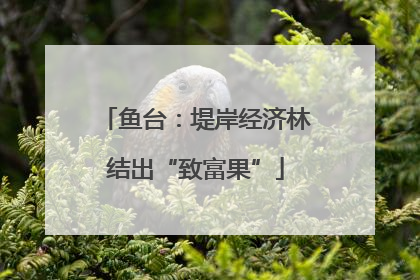 鱼台：堤岸经济林结出“致富果”