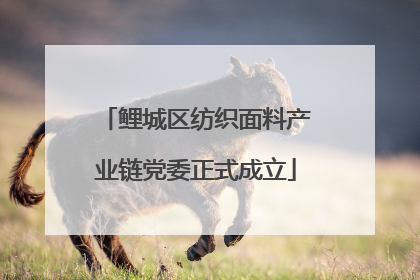 鲤城区纺织面料产业链党委正式成立