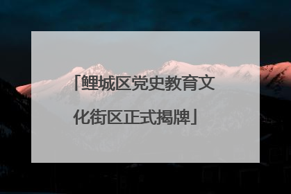鲤城区党史教育文化街区正式揭牌