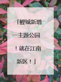 鲤城新增一主题公园！就在江南新区！