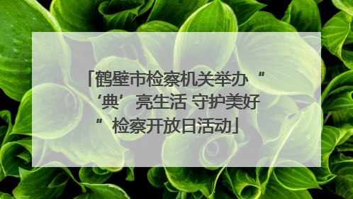 鹤壁市检察机关举办“‘典’亮生活 守护美好”检察开放日活动