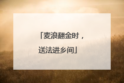 麦浪翻金时，送法进乡间