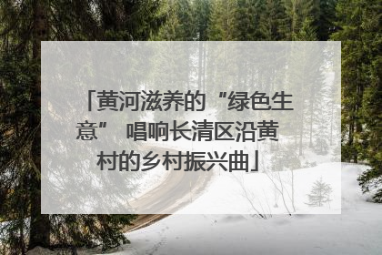 黄河滋养的“绿色生意” 唱响长清区沿黄村的乡村振兴曲
