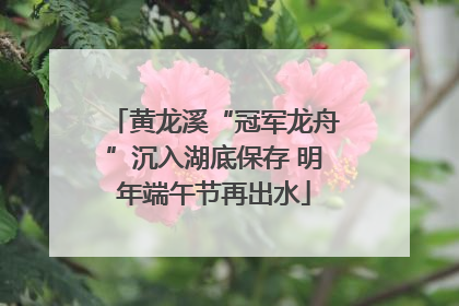 黄龙溪“冠军龙舟”沉入湖底保存 明年端午节再出水