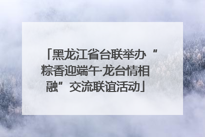 黑龙江省台联举办“粽香迎端午·龙台情相融”交流联谊活动