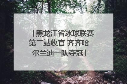 黑龙江省冰球联赛第二站收官 齐齐哈尔兰迪一队夺冠