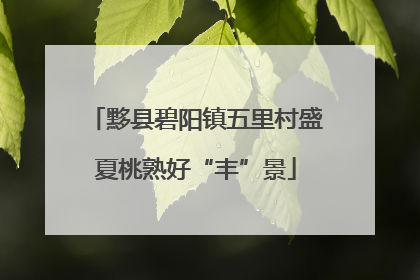 黟县碧阳镇五里村盛夏桃熟好“丰”景
