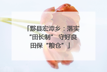 黟县宏潭乡：落实“田长制” 守好良田保“粮仓”