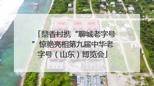 鼎香村携“聊城老字号”惊艳亮相第九届中华老字号（山东）博览会