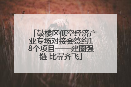鼓楼区低空经济产业专场对接会签约18个项目——建圈强链 比翼齐飞