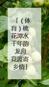 （体育）桃花潭水千年韵 龙舟竞渡寄乡情