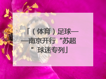 （体育）足球——南京开行“苏超”球迷专列