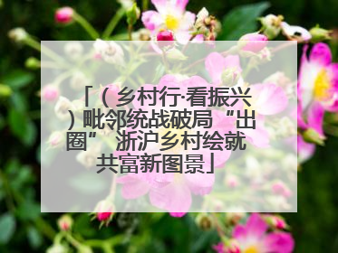 （乡村行·看振兴）毗邻统战破局“出圈” 浙沪乡村绘就共富新图景