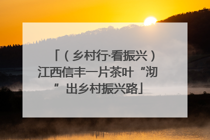 （乡村行·看振兴）江西信丰一片茶叶“沏”出乡村振兴路