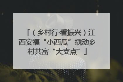 （乡村行·看振兴）江西安福“小西瓜”撬动乡村共富“大支点”