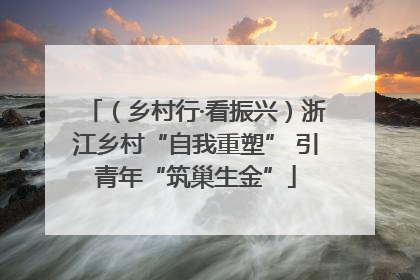 （乡村行·看振兴）浙江乡村“自我重塑” 引青年“筑巢生金”