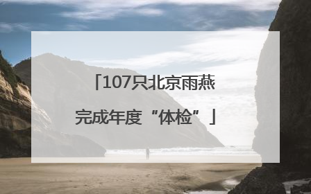 107只北京雨燕完成年度“体检”