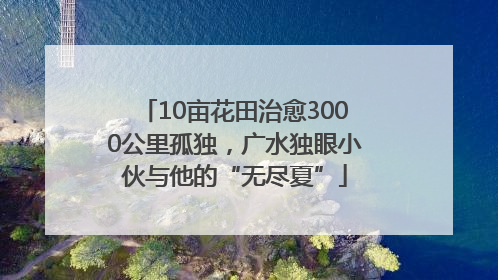 10亩花田治愈3000公里孤独，广水独眼小伙与他的“无尽夏”
