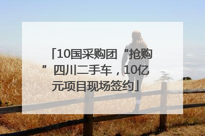 10国采购团“抢购”四川二手车，10亿元项目现场签约