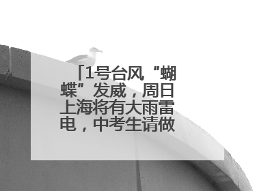 1号台风“蝴蝶”发威，周日上海将有大雨雷电，中考生请做好防范准备