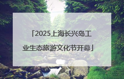 2025上海长兴岛工业生态旅游文化节开幕