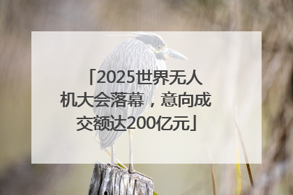 2025世界无人机大会落幕，意向成交额达200亿元
