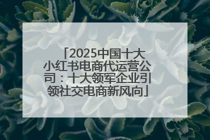 2025中国十大小红书电商代运营公司：十大领军企业引领社交电商新风向