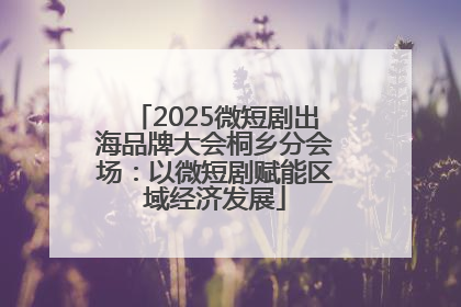 2025微短剧出海品牌大会桐乡分会场：以微短剧赋能区域经济发展