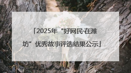 2025年“好网民·在潍坊”优秀故事评选结果公示