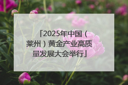 2025年中国（莱州）黄金产业高质量发展大会举行