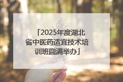 2025年度湖北省中医药适宜技术培训班圆满举办