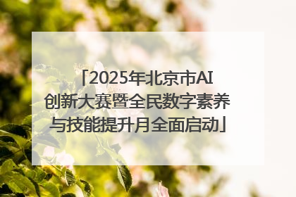 2025年北京市AI创新大赛暨全民数字素养与技能提升月全面启动