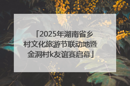 2025年湖南省乡村文化旅游节联动地暨金洞村k友谊赛启幕