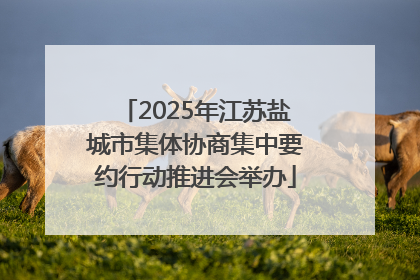 2025年江苏盐城市集体协商集中要约行动推进会举办