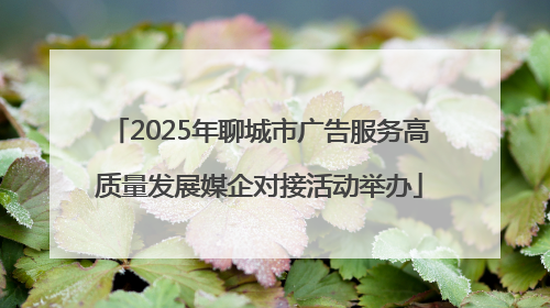 2025年聊城市广告服务高质量发展媒企对接活动举办