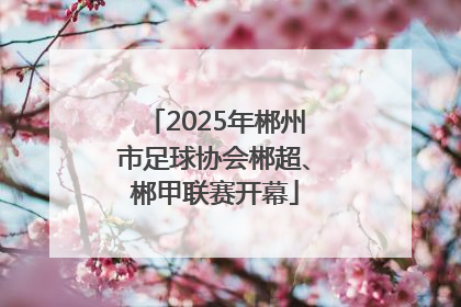 2025年郴州市足球协会郴超、郴甲联赛开幕