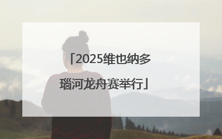 2025维也纳多瑙河龙舟赛举行