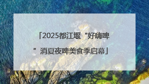2025都江堰“好嗨啤”消夏夜啤美食季启幕