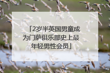 2岁半英国男童成为门萨俱乐部史上最年轻男性会员