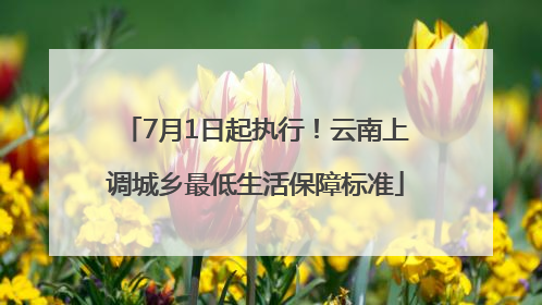 7月1日起执行！云南上调城乡最低生活保障标准